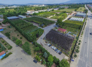 Kullar Fidanlık Şefliği