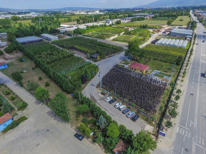 Kullar Fidanlık Şefliği